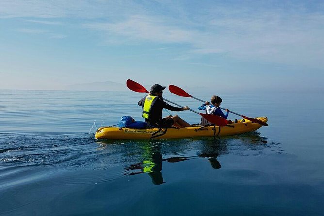 Paddle with the Penguins - Terry and the value of a good guide