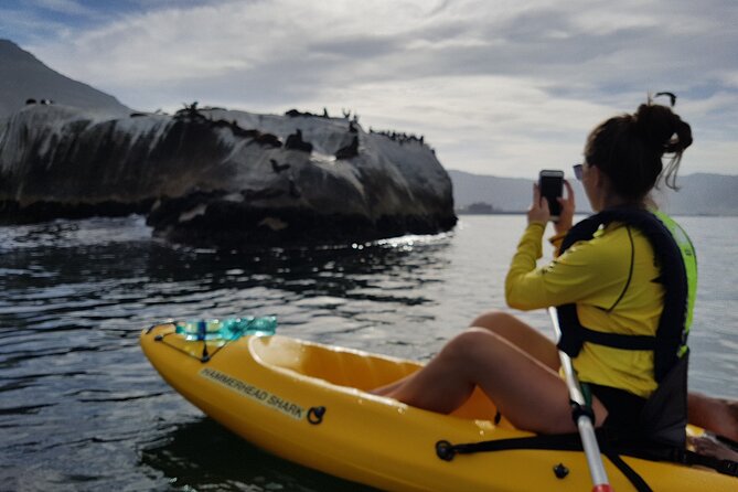 Paddle with the Penguins - Is $34.63 good value for two hours?