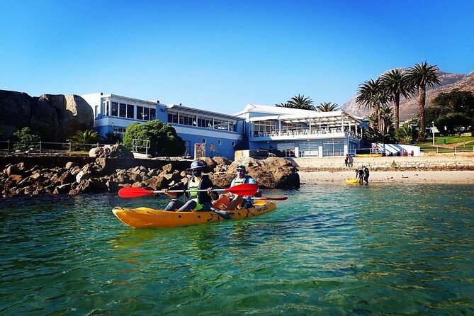 Paddle with the Penguins - Who should book this paddle