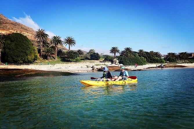 Paddle with the Penguins - Weather, cancellations, and planning your day