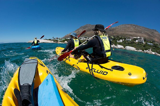 Paddle with the Penguins - Paddling toward African penguin habitat