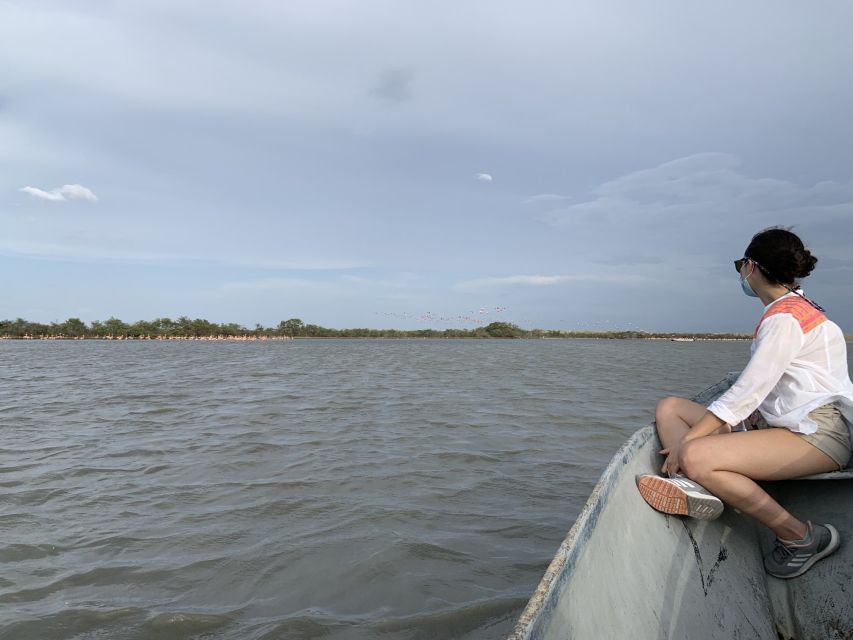 Palomino: Sanctuary of Flamingos Day Tour - Playa de Camarones and the optional lunch