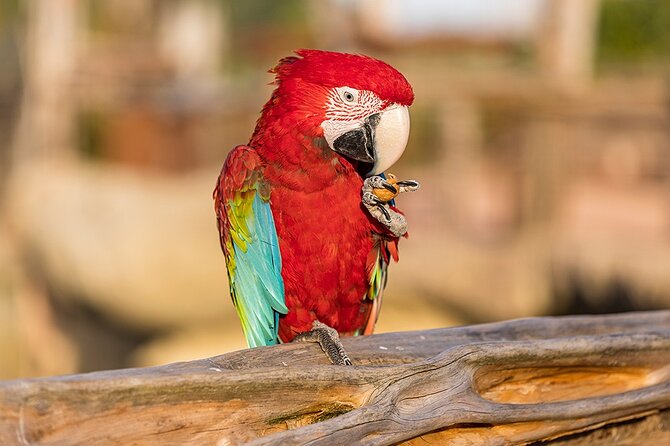 Parrot World Immersive Wildlife Park Entry Ticket next to Paris - A South American setting near Paris