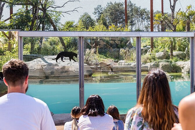 Parrot World Immersive Wildlife Park Entry Ticket next to Paris - Is $24.20 good value?