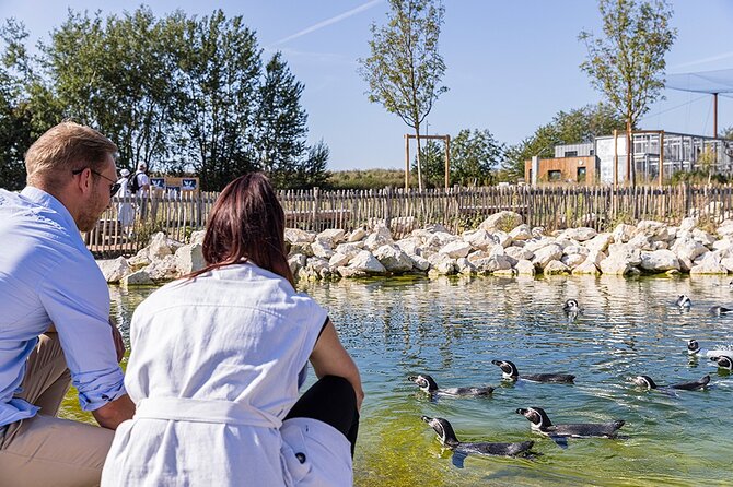 Parrot World Immersive Wildlife Park Entry Ticket next to Paris - Timing, food, and cancellation advice