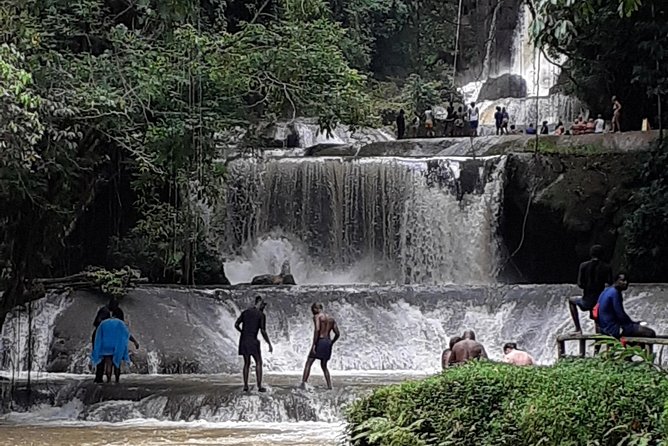 Pelican Bar, Appleton Rum Tour, YS Falls Jamaica south coast experience Montego - What a private tour changes