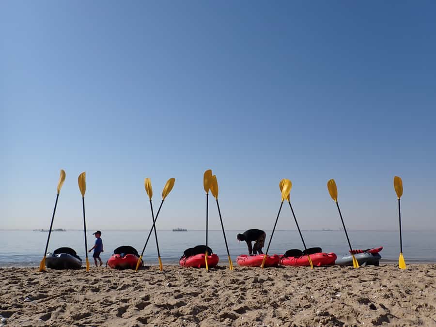 Pelican Point: Kayak with Seals Experience - Why Pelican Point is such a good place to kayak