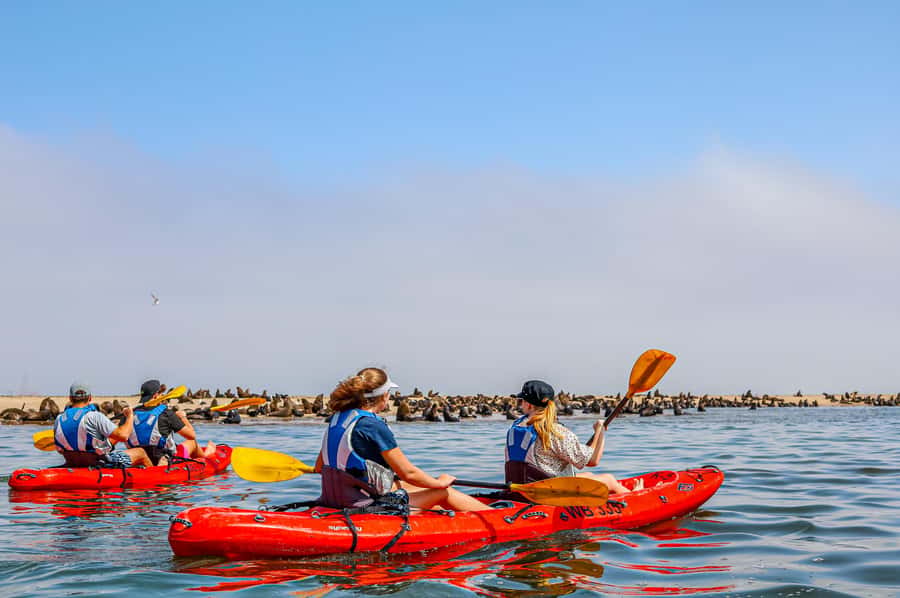 Pelican Point: Kayak with Seals Experience - Returning across Donkey Bay, salt pans, and the lagoon