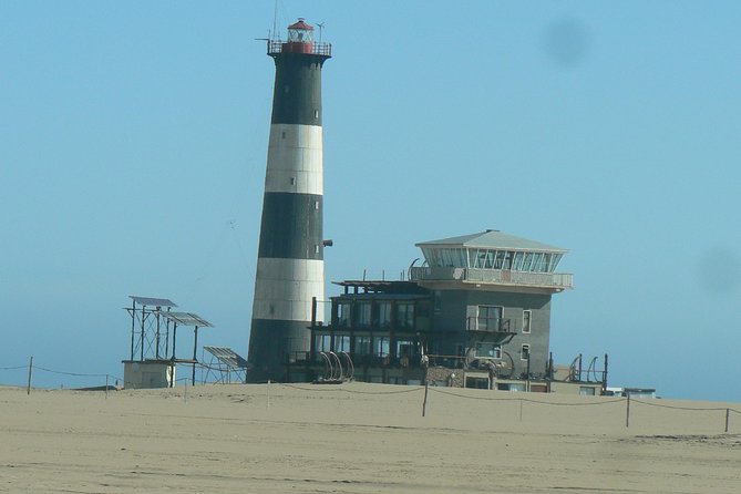 Pelican Point Peninsula Tour- visit the seal colony - Flamingos and pelicans at Walvis Bay Lagoon