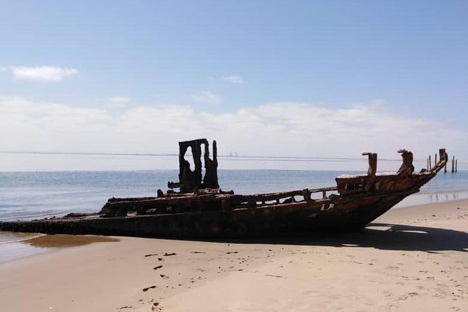 Pelican Point Seal Colony 4x4 Tour - Food, drinks, and the pace of the stop