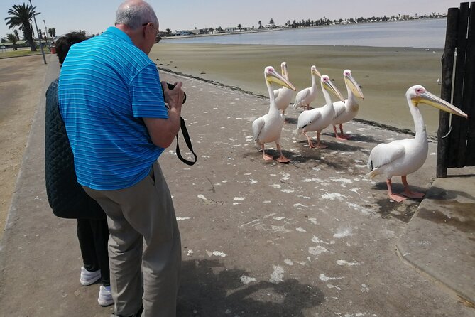 Pelican Point tours,Lagoon tours, Dune7 Adventure - The second day, from the Namib Desert to local culture