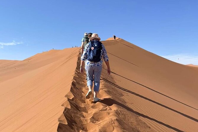 Pelican Point tours,Lagoon tours, Dune7 Adventure - Why the private format matters here