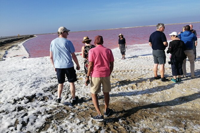 Pelican Point tours,Lagoon tours, Dune7 Adventure - What $250 per person buys you