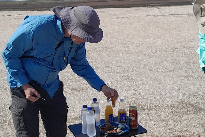 Pelican Point tours,Lagoon tours, Dune7 Adventure - Timing, transport, and what to bring