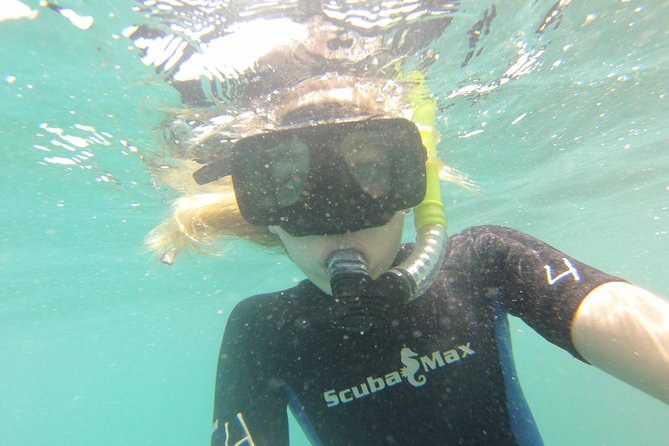 Pelican Rock Snorkeling and Sightseeing Adventure - Seeing Lover’s Beach, the Arch, and Land’s End