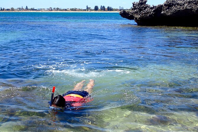 Penguin and Seal Islands Sea Kayaking Experience - Reaching Penguin Island on the water