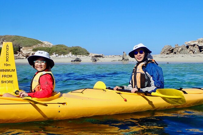 Penguin and Seal Islands Sea Kayaking Experience - The return paddle and the physical side of the day