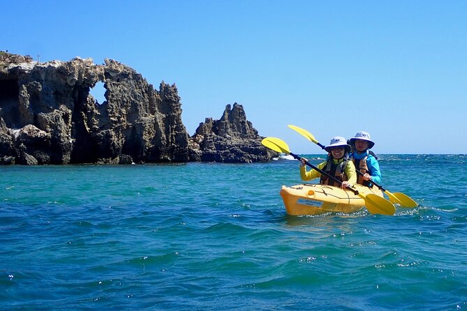 Penguin and Seal Islands Sea Kayaking Experience - Starting at Shoalwater at 8:00 am