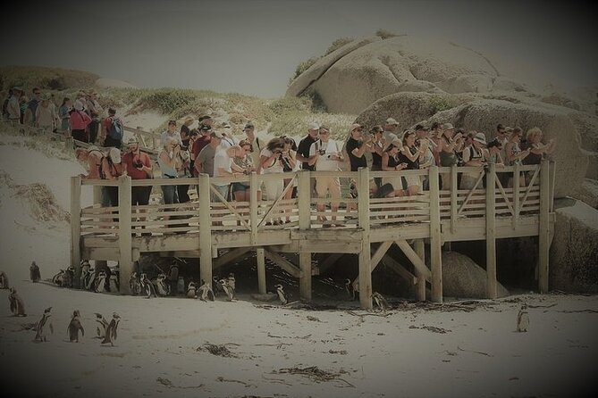 Penguin Encounter Boulders Beach Half Tour Day from Cape Town - Boyes Drive brings you back by False Bay