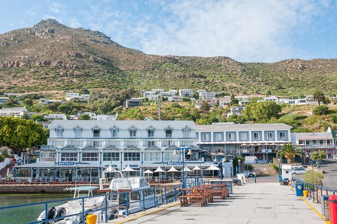 Penguin Encounter Boulders Beach Half Tour Day from Cape Town - Chapman’s Peak Drive is part of the experience