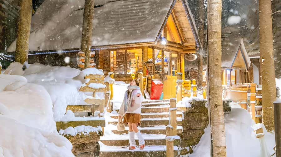Penguin Fun & Snowmobile : Sapporo Winter (Asahiyama Zoo) - Why this day trip works for a first Hokkaido winter