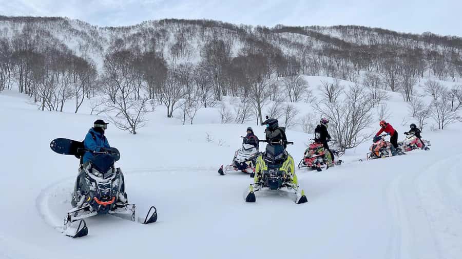 Penguin Fun & Snowmobile : Sapporo Winter (Asahiyama Zoo) - Shikisai-no-oka and the optional snowmobile ride
