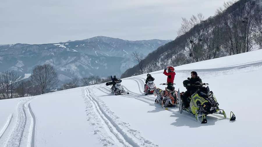 Penguin Fun & Snowmobile : Sapporo Winter (Asahiyama Zoo) - Is $58 a fair price?