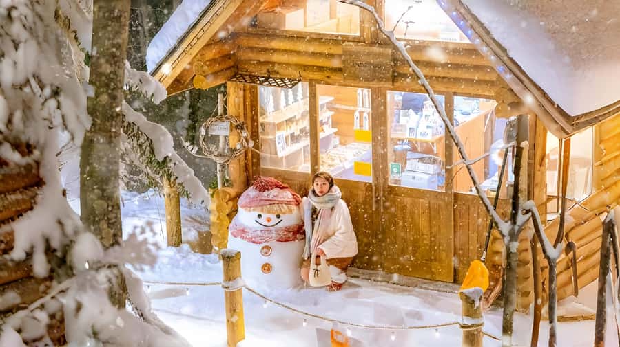 Penguin Fun & Snowmobile : Sapporo Winter (Asahiyama Zoo) - The long ride from Sapporo to Furano