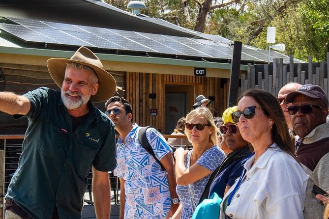 Penguin Parade, & Wildlife Encounters Eco Tour from Melbourne - Cape Woolamai and the seasonal changes