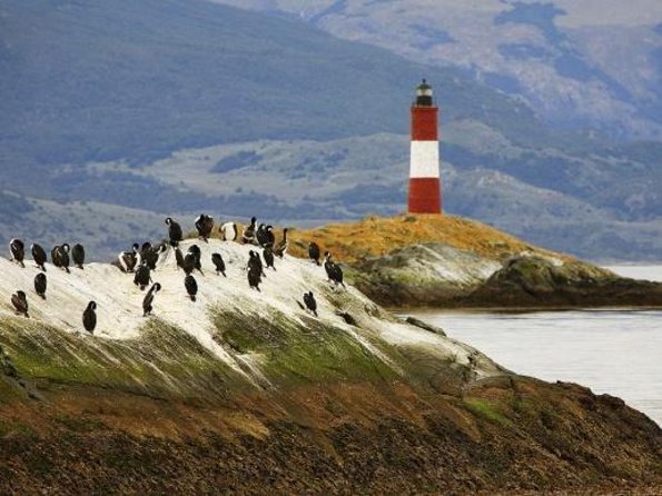 Penguin walk in Ushuaia + navigation option - Why the Martillo Island walk is worth the price