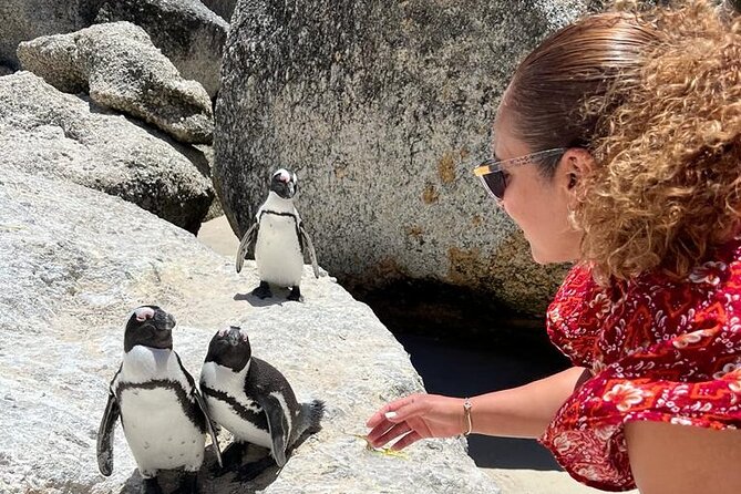 Penguin Watching & Beach Day at Boulder's Beach, Cape Town - Camps Bay and Maiden’s Cove start the morning