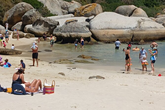 Penguin Watching & Beach Day at Boulder's Beach, Cape Town - Noordhoek Farm Village adds a coffee pause