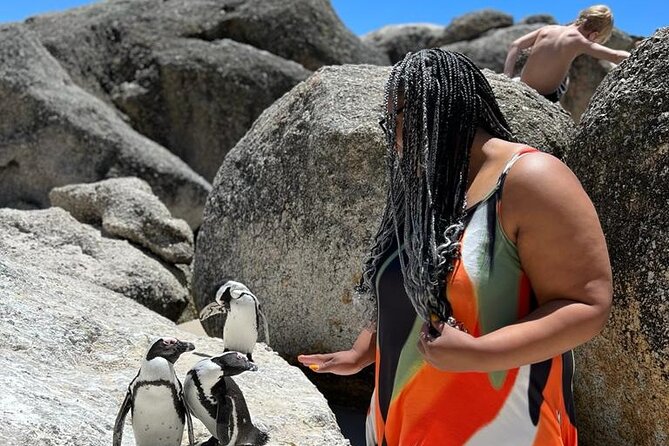Penguin Watching & Beach Day at Boulder's Beach, Cape Town - Simon’s Town, Fish Hoek, and Kalk Bay pass by the window