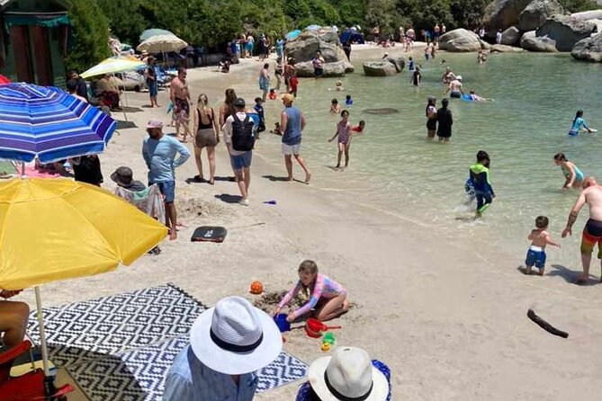 Penguin Watching & Beach Day at Boulder's Beach, Cape Town - What the transport and timing mean for you
