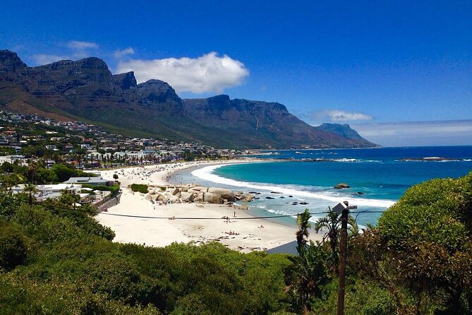 Penguins Cape of Good Hope, Cape Point Private Tour - A full Cape Peninsula day in one private vehicle
