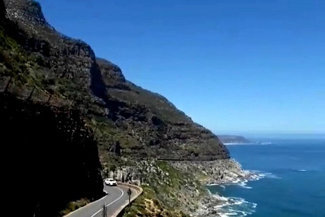 Penguins Cape of Good Hope, Cape Point Private Tour - Chapman’s Peak Drive and the best moving viewpoint