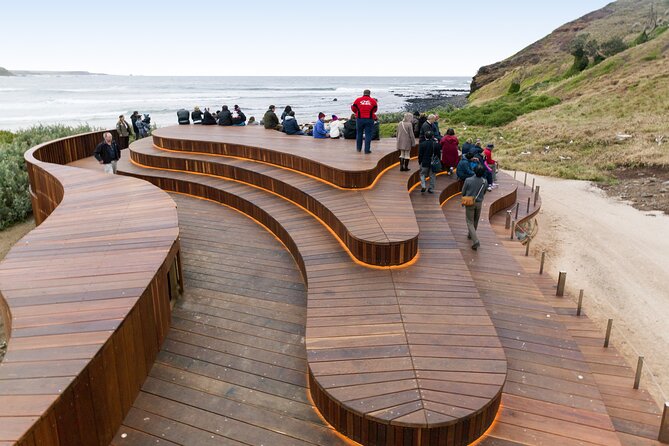 Phillip Island Day Trip from Melbourne with Penguin Plus Viewing Platform - Is $172.14 good value?