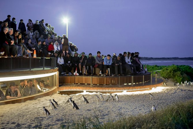 Phillip Island Day Trip from Melbourne with Penguin Plus Viewing Platform - The Melbourne departure and long ride south