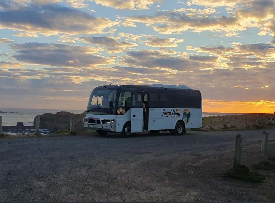 Phillip Island: Golden Hour Penguin Express Tour - What the general Penguin Parade ticket includes