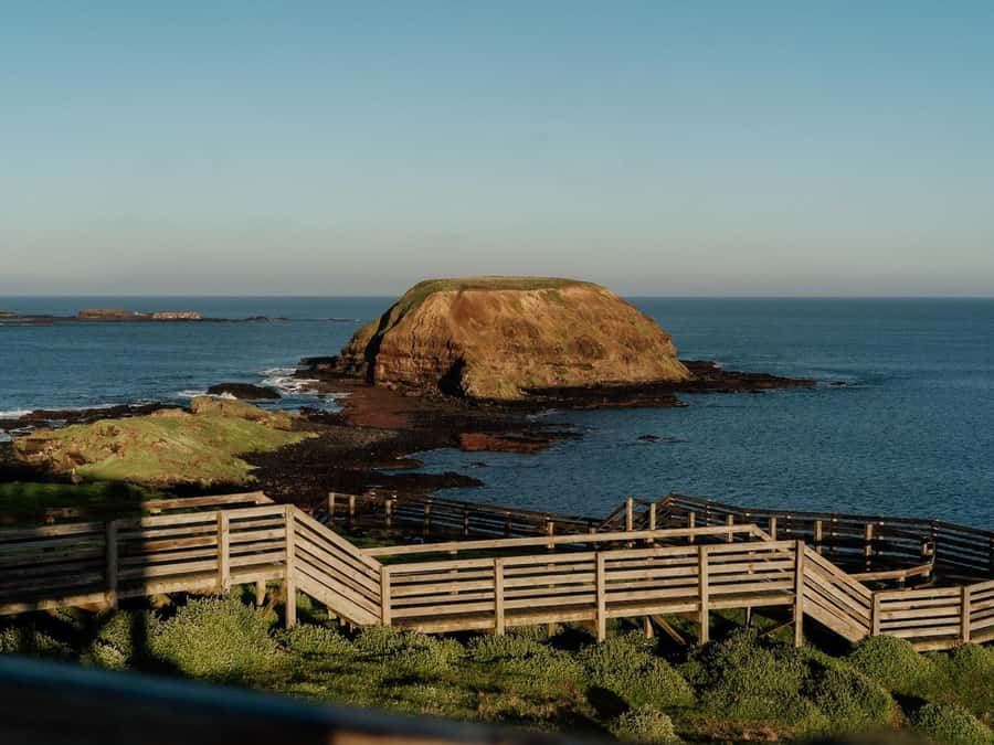 Phillip Island: Golden Hour Penguin Express Tour - Is $92 good value?
