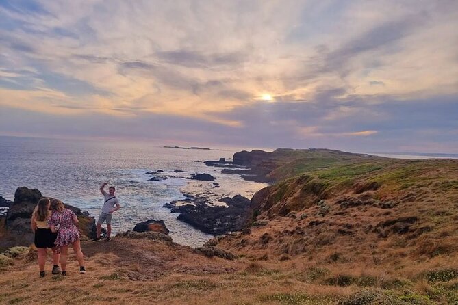 Phillip Island: Golden Hour Penguin Express Tour w/ Island Pickup - Two hours at the Penguin Parade