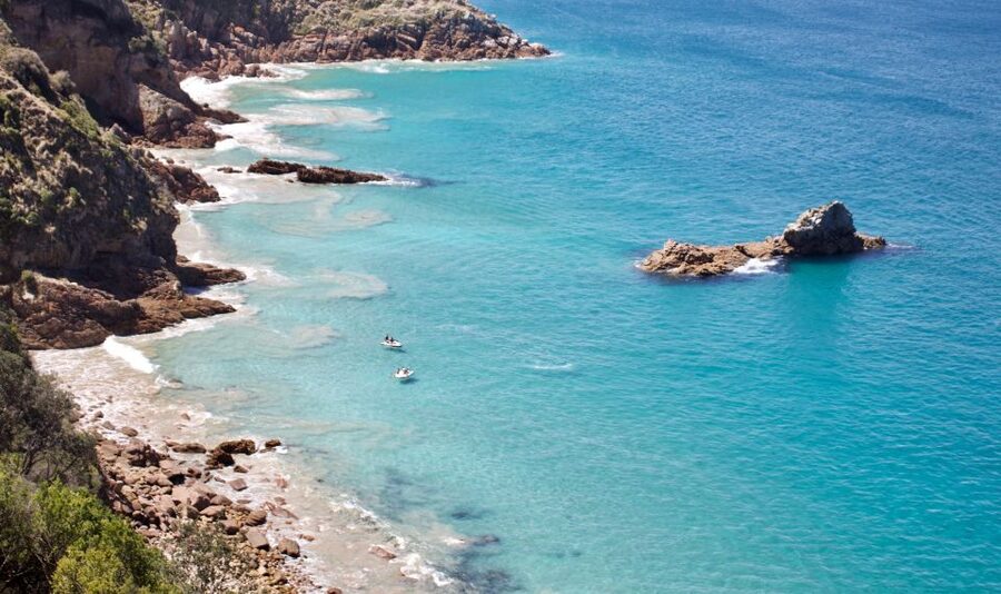 Phillip Island: Hike and Penguin Parade - 8 pax Small Tour - What the small group changes