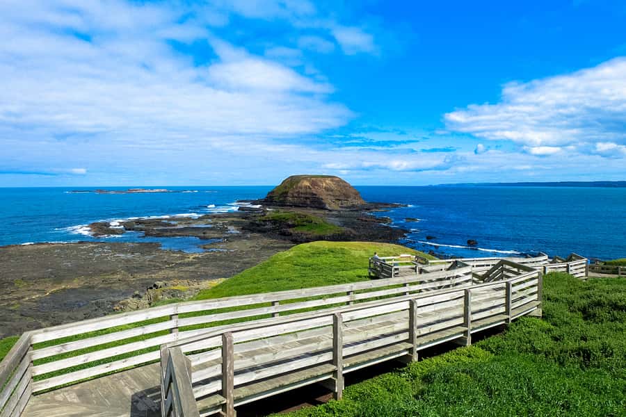 Phillip Island: Hike and Penguin Parade - 8 pax Small Tour - Who should book this tour?