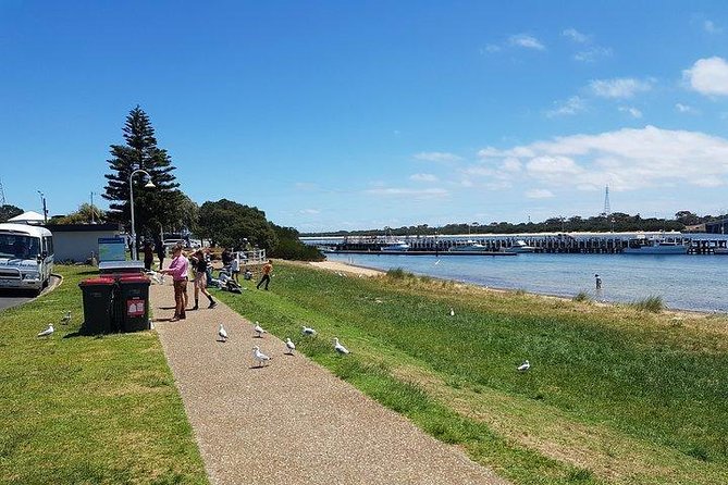 Phillip Island Penguin and wildlife Tour - The Nobbies brings you to Phillip Island’s wild coast