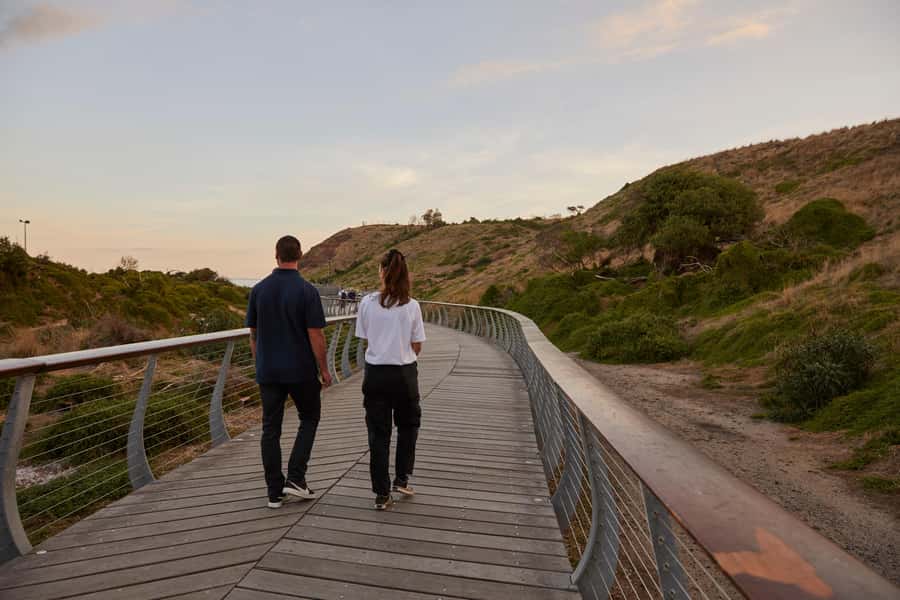 Phillip Island Penguin Direct Sunset Tour - Is $94 good value?