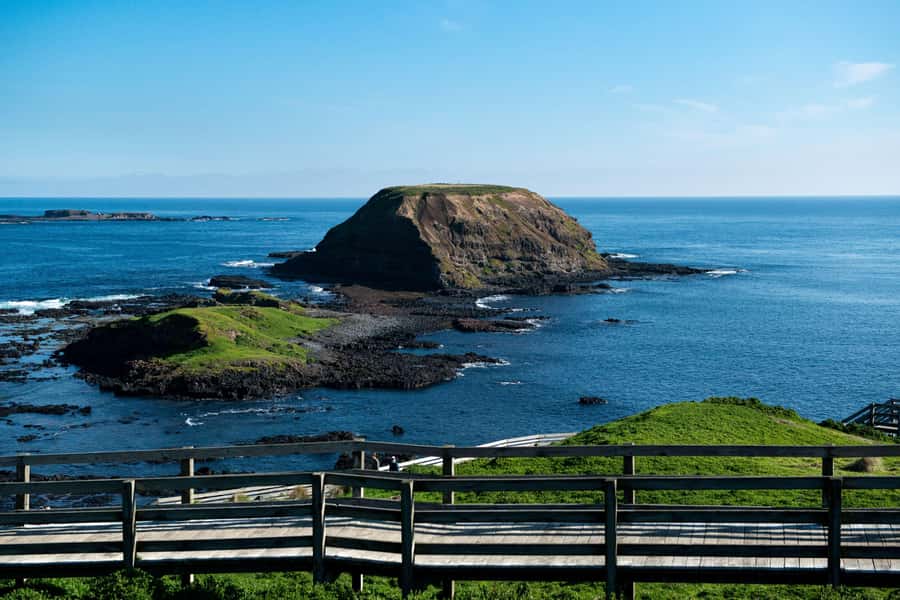 Phillip Island Penguin Direct Sunset Tour - Meeting in central Melbourne