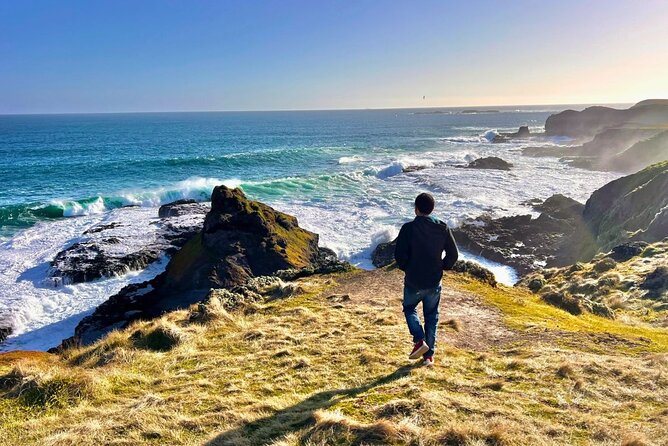 Phillip Island & Penguin Parade Afternoon Eco Tour from Melbourne - Key points to know before booking