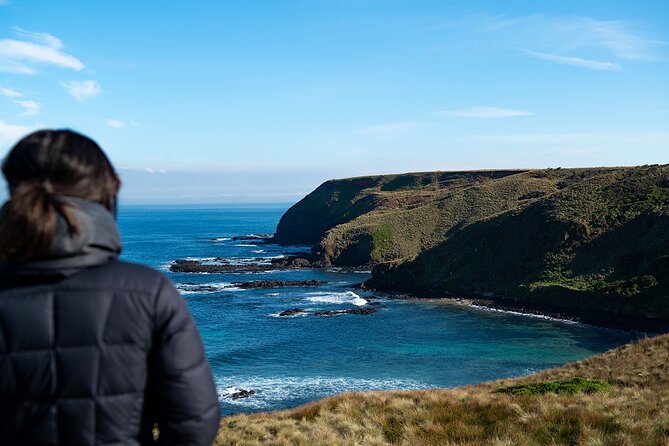 Phillip Island Penguin Parade Express Tour from Melbourne - Why the penguin parade is worth the long day