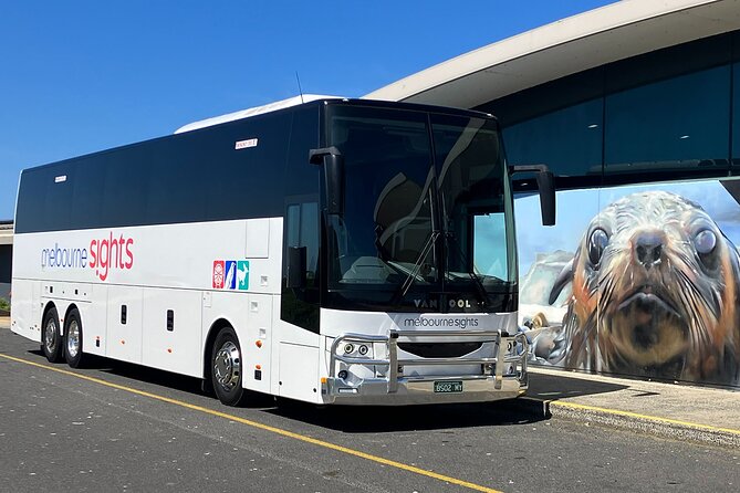 Phillip Island Penguin Parade Express Tour from Melbourne - The ride from Melbourne and the late return