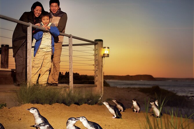 Phillip Island Penguin Parade Express Tour from Melbourne - Meals, comfort, and what to pack